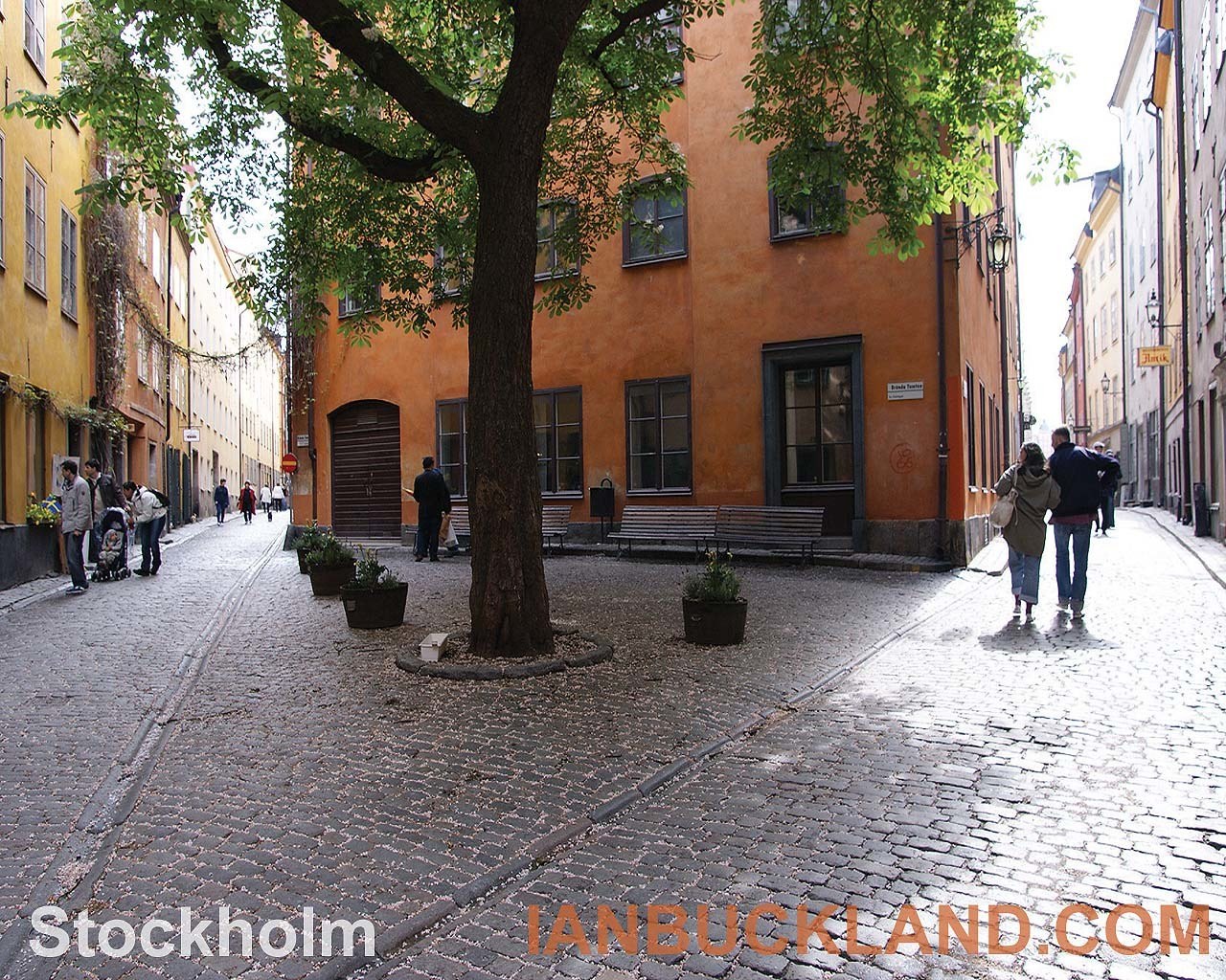 Cobblestone street in Stockholm