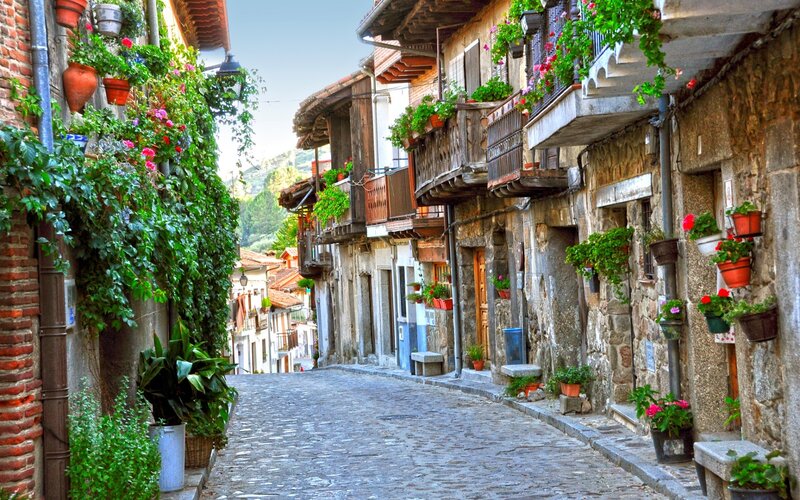 Cobblestone Street with Flowers — Green