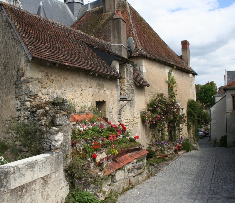 Cobblestone Street with Flowers