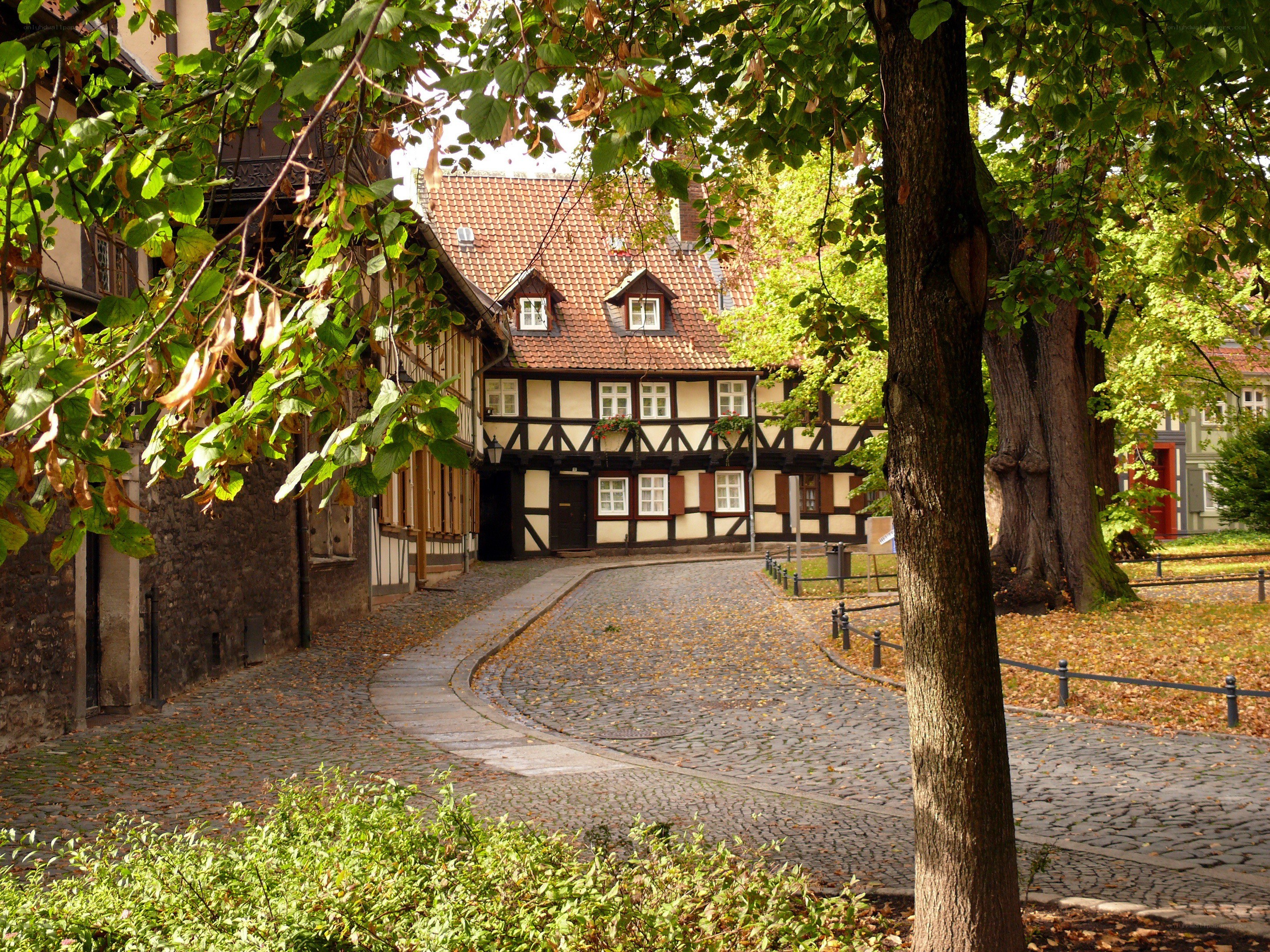 Cobblestone street with half-timbered houses