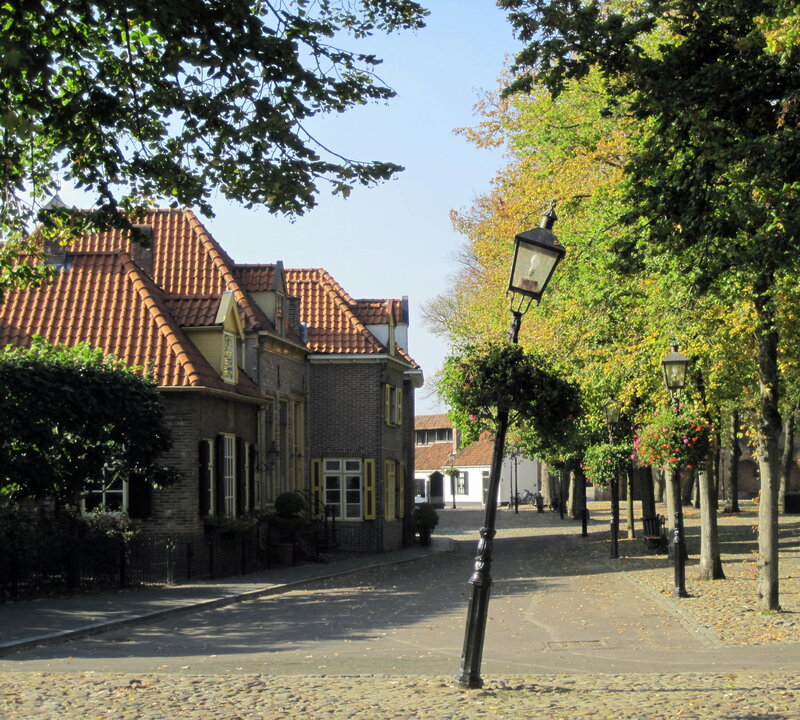 Cobblestone Street with Houses — Green