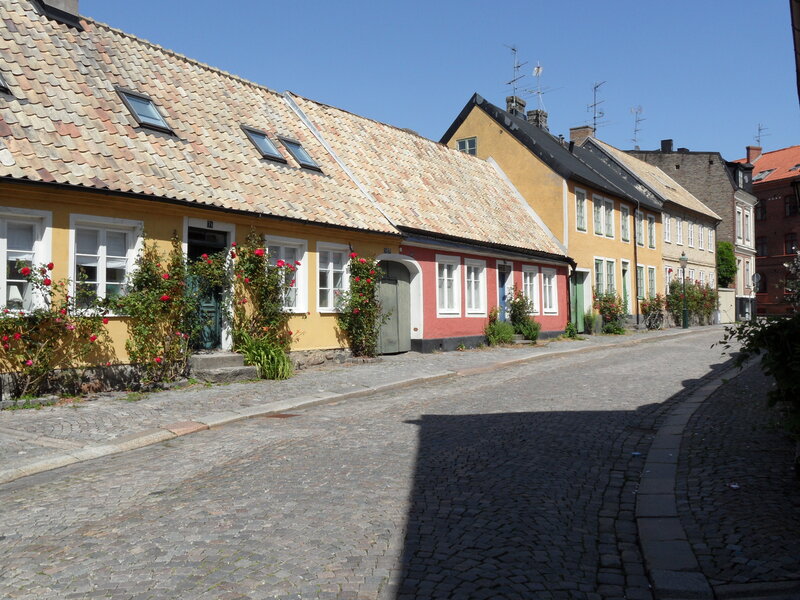 Cobblestone Street with Houses