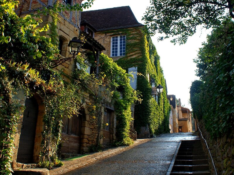 Cobblestone Street with Ivy