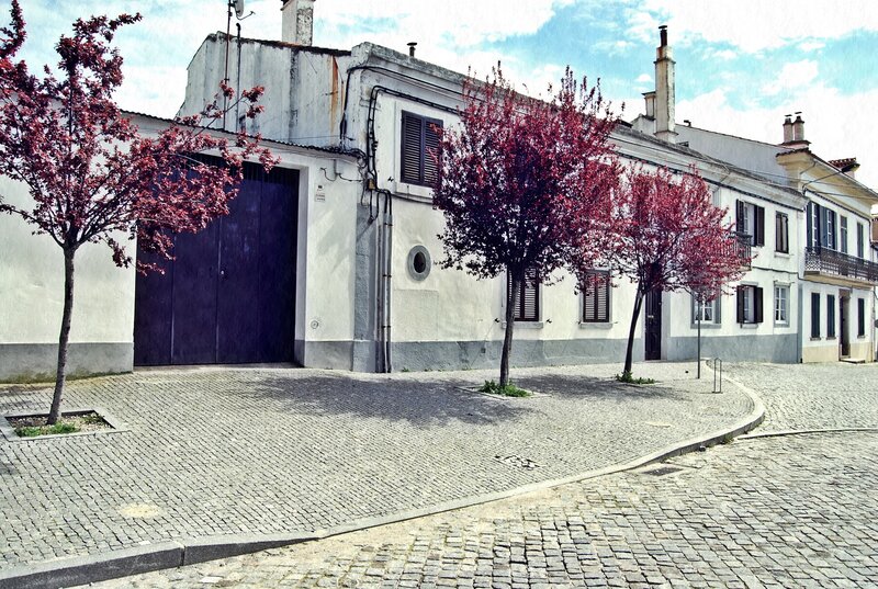 Cobblestone street with red-leafed trees