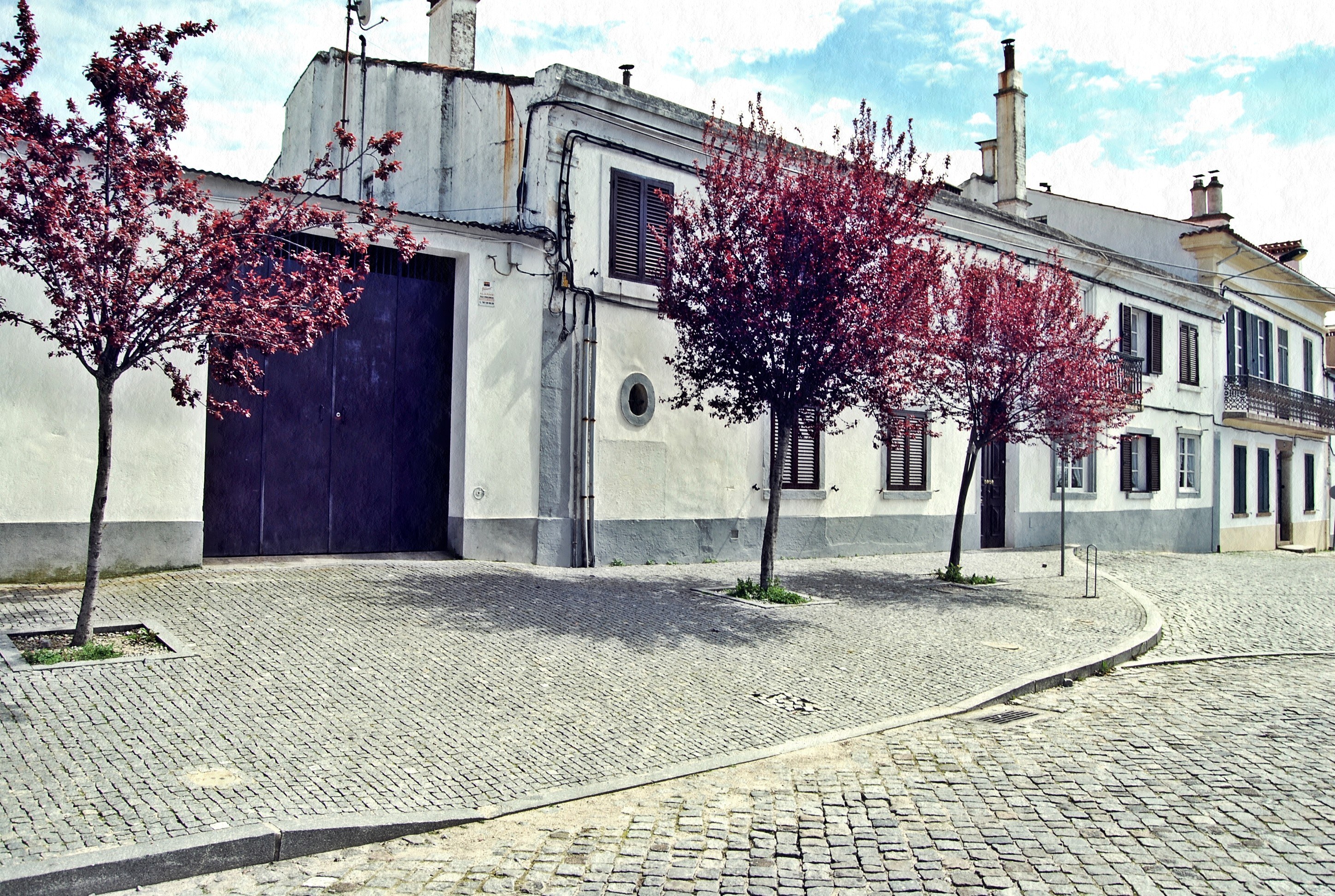 Cobblestone street with red-leafed trees