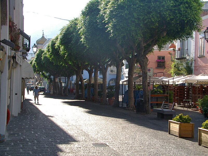 Cobblestone Street with Trees — Green