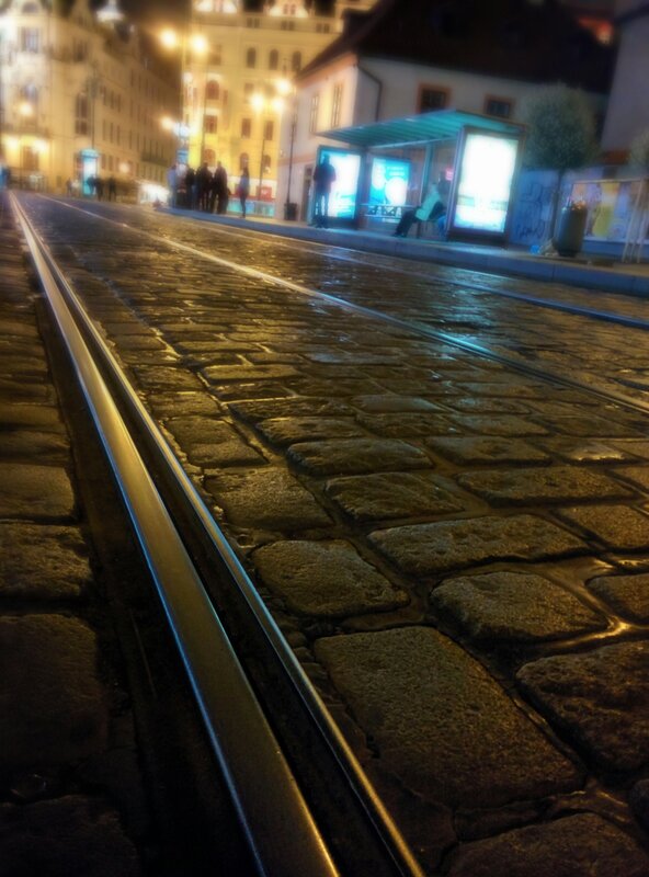 Cobblestone Tram Tracks — Brown