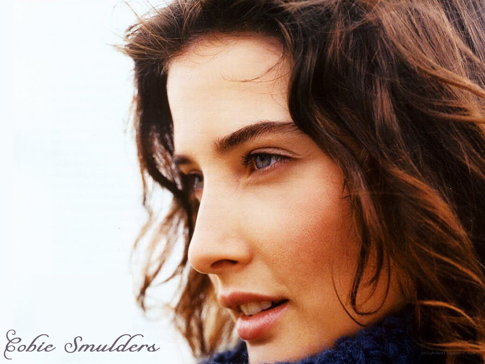 Cobie Smulders portrait