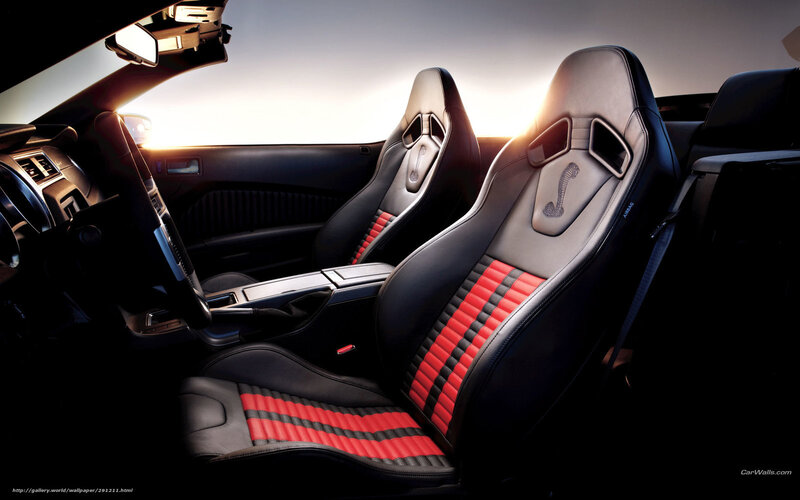Cobra car interior