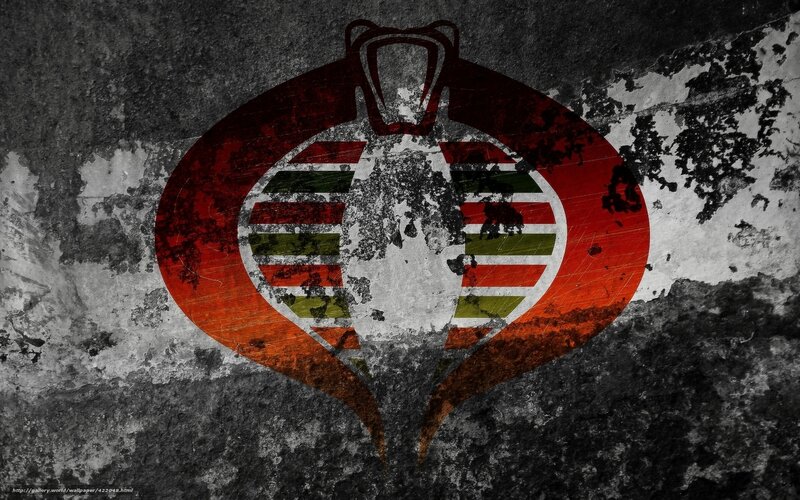 Cobra Commander logo on grunge wall