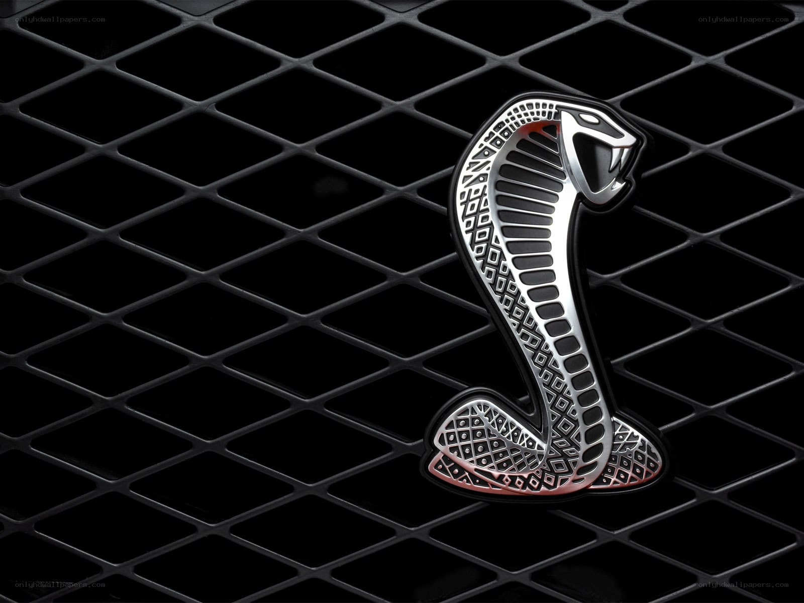 Cobra emblem on black grille