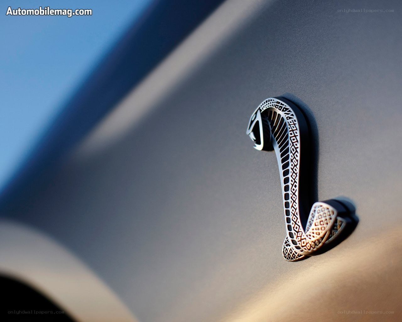 Cobra emblem on car