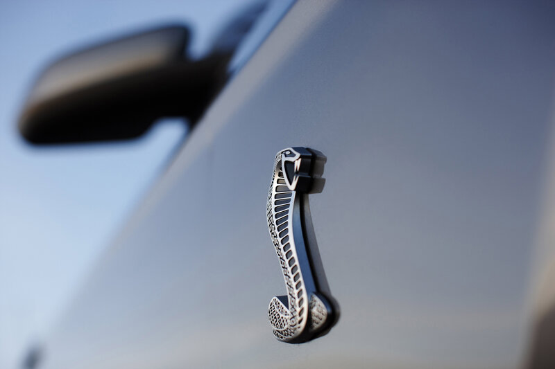 Cobra emblem on car door