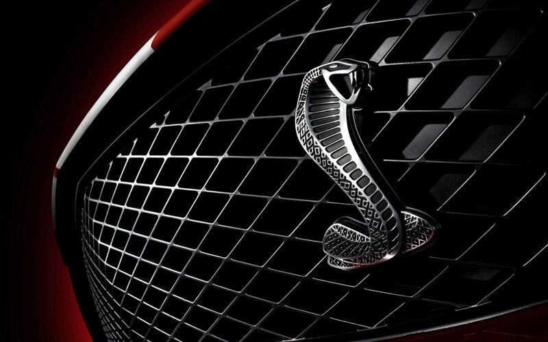 Cobra emblem on car grille