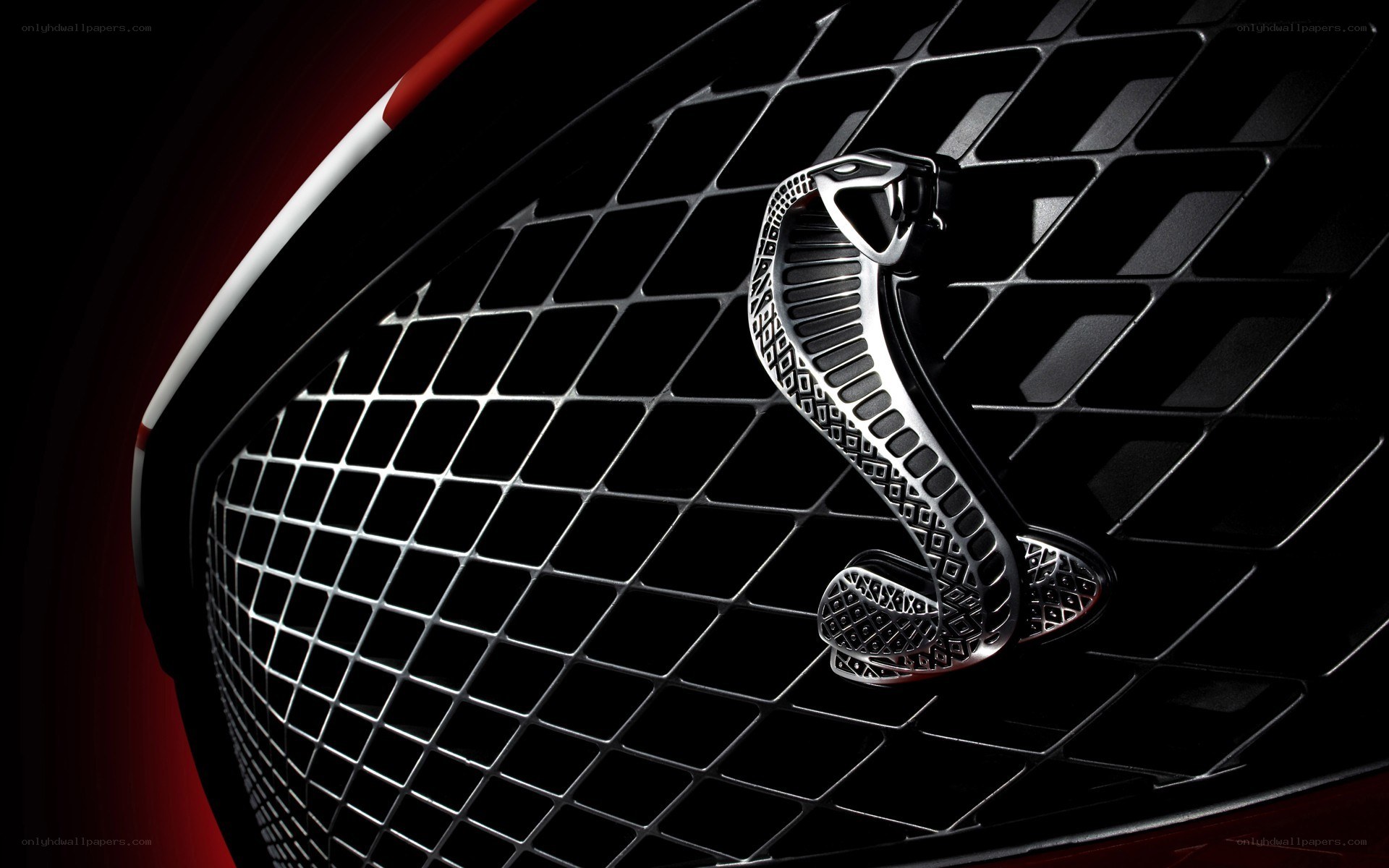 Cobra emblem on car grille