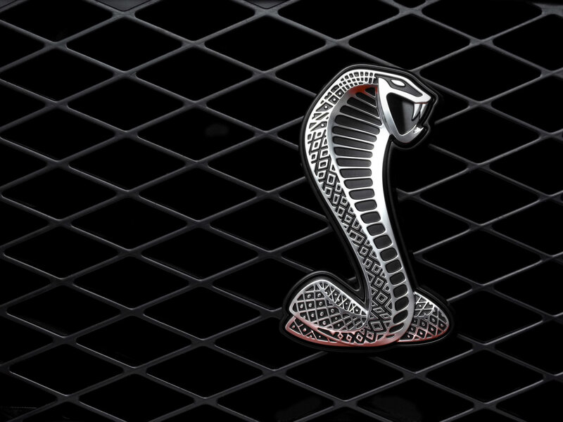 Cobra emblem on car grille