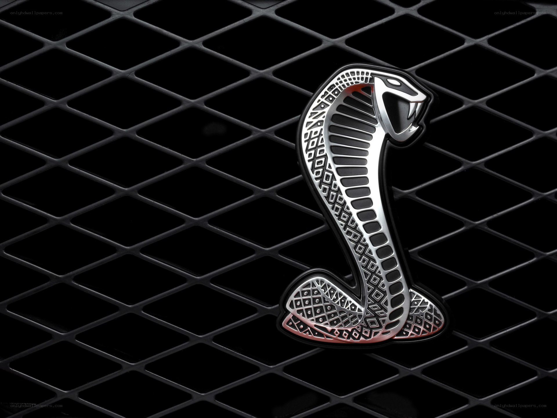 Cobra emblem on car grille