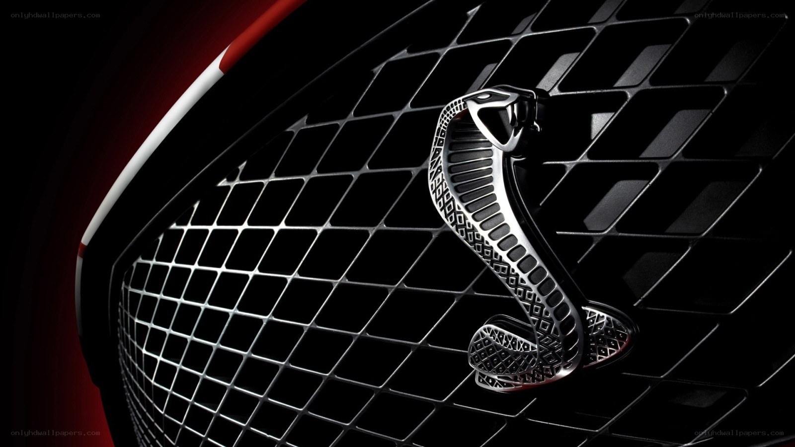 Cobra emblem on car grille