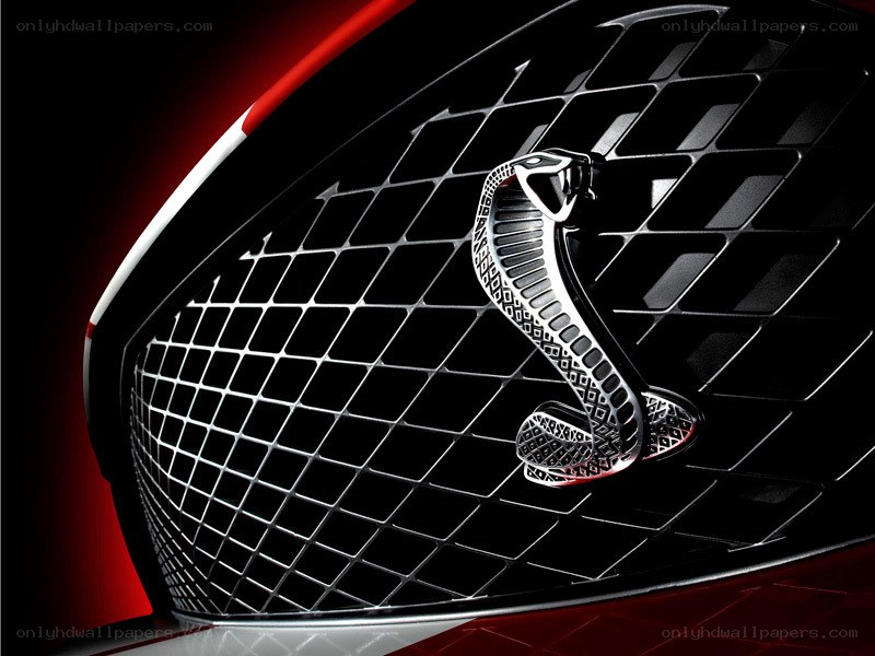 Cobra emblem on car grille