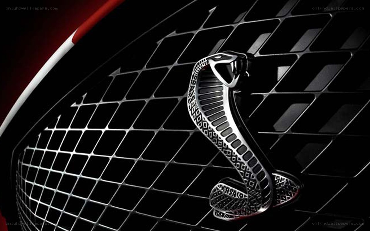 Cobra emblem on car grille