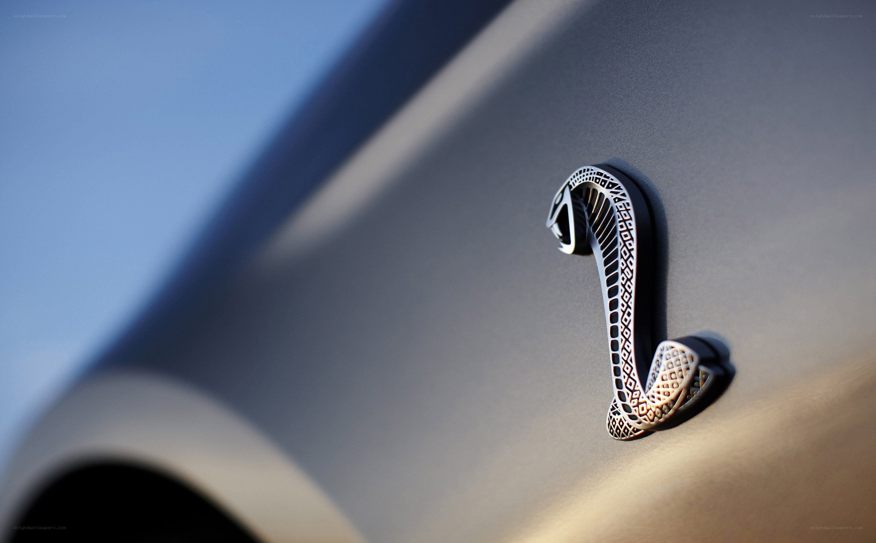 Cobra emblem on car