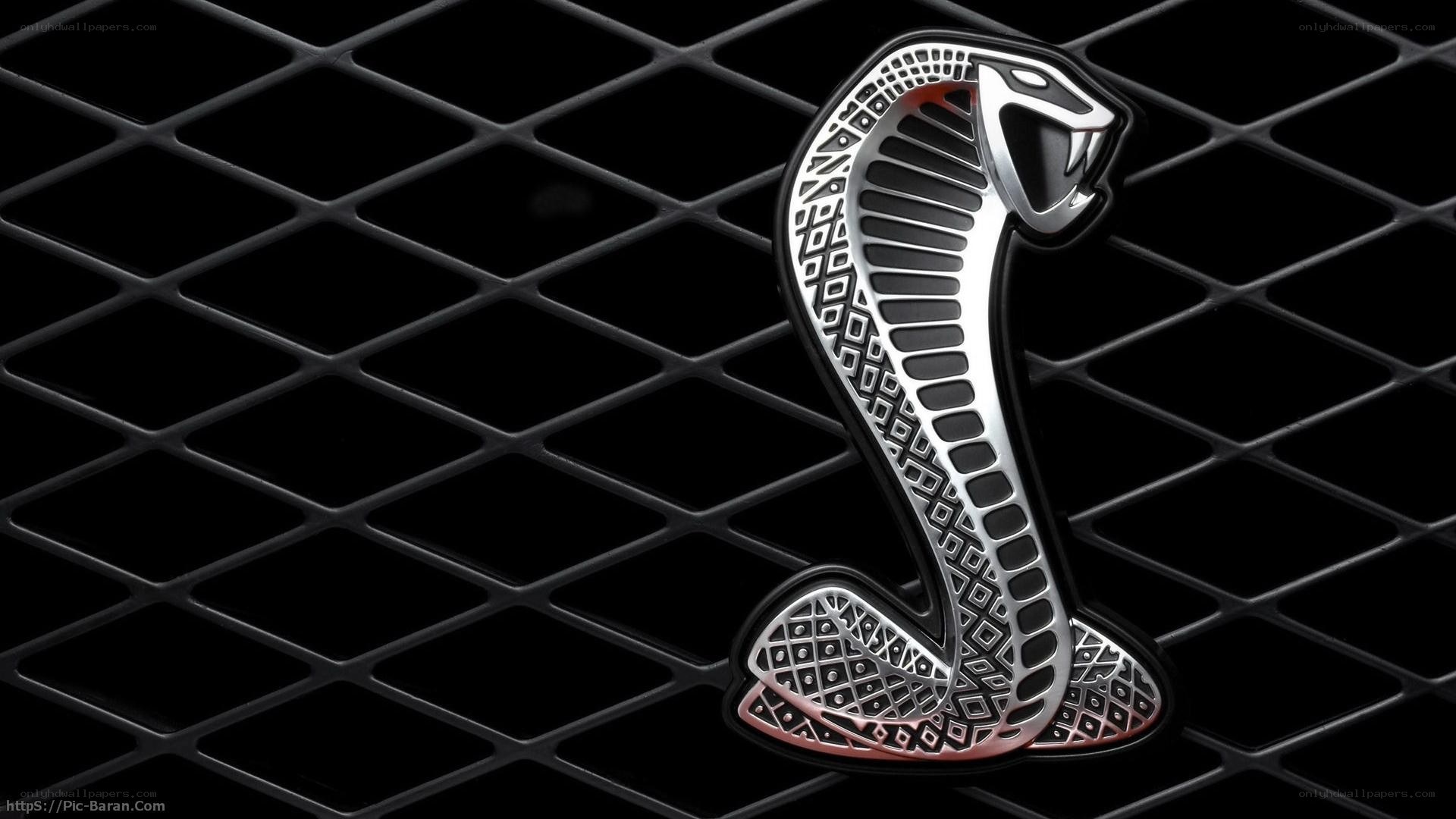 Cobra emblem on grille