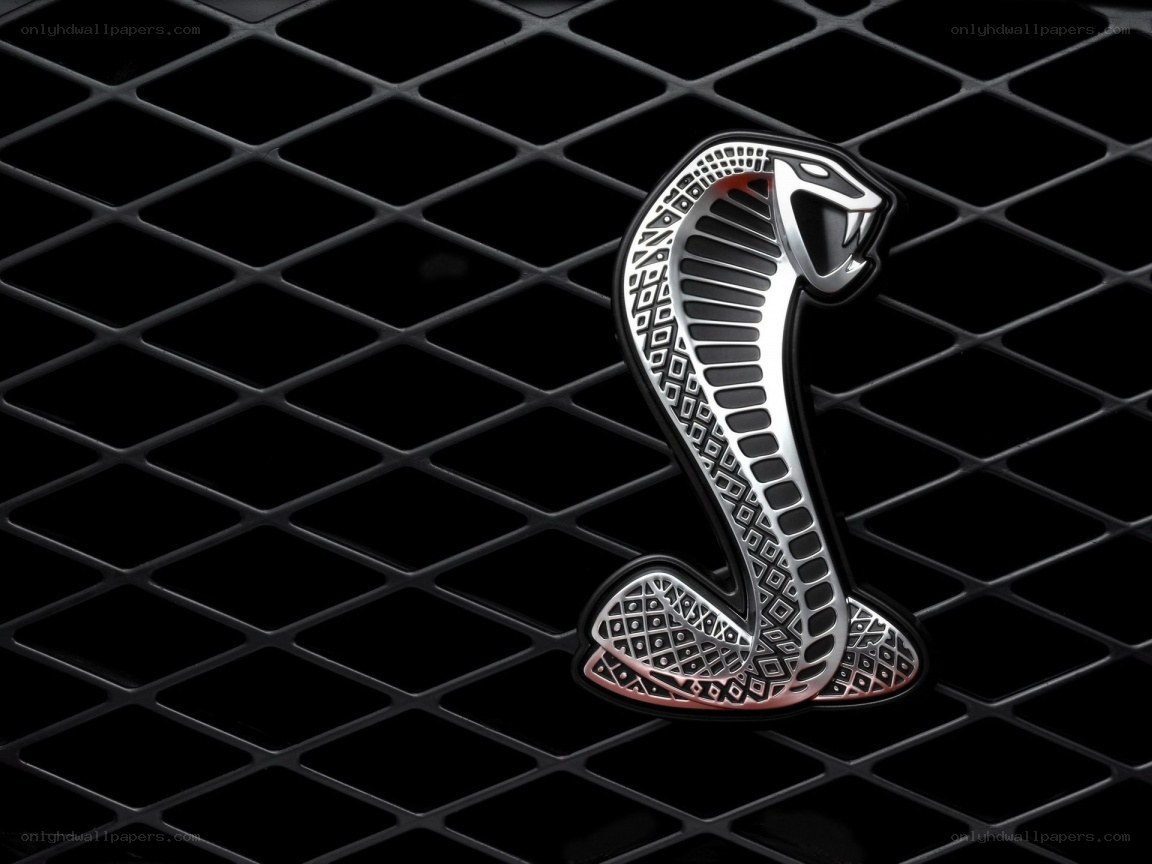 Cobra emblem on grille