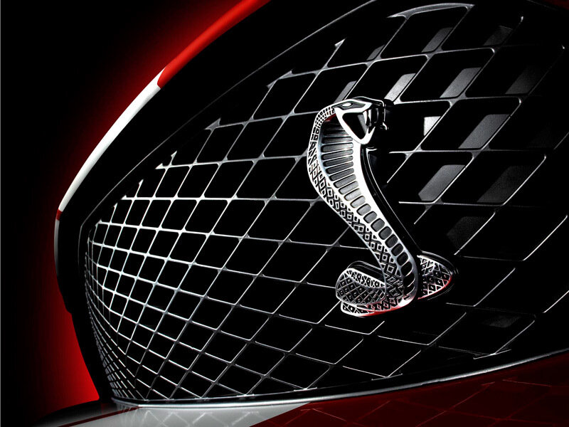 Cobra Emblem on Grille — Black, Dramatic, Photograph, Car, Logo