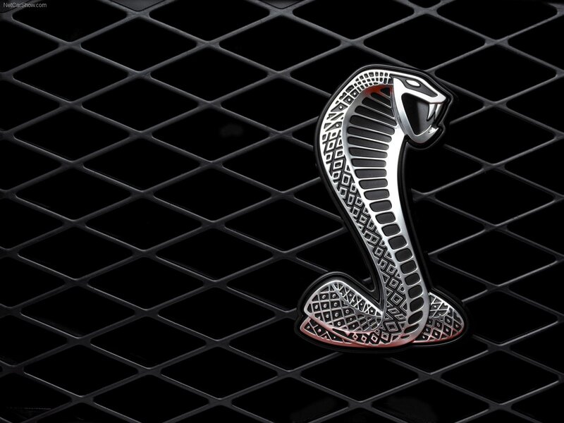 Cobra Emblem on Grille — Black, Dramatic, Photograph, Car