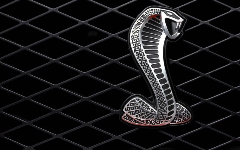 Cobra Emblem on Grille — Black, Dramatic, Photograph