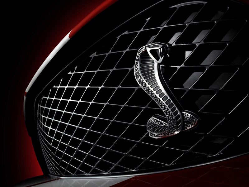 Cobra Emblem on Grille — Black, Dramatic