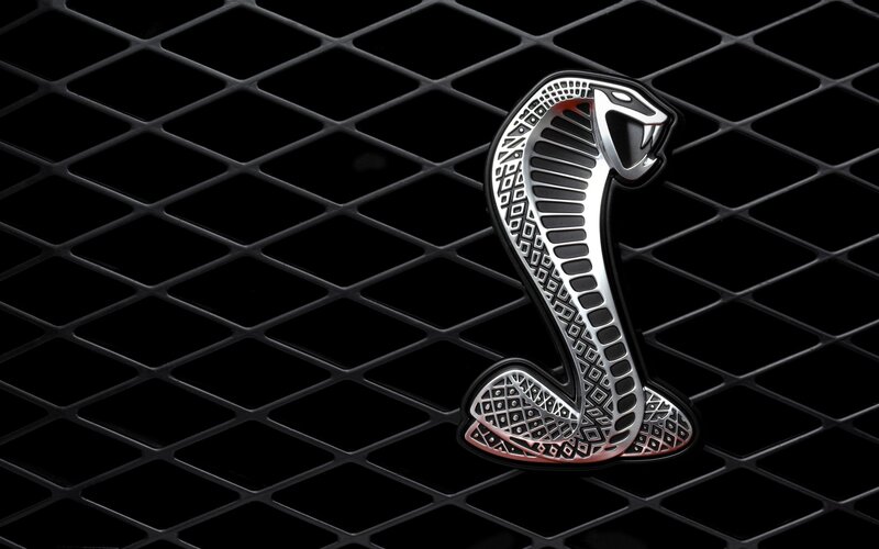 Cobra Emblem on Grille — Black