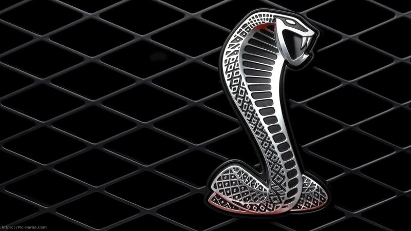 Cobra Emblem on Grille — Car