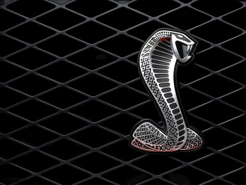 Cobra Emblem on Grille — Silver