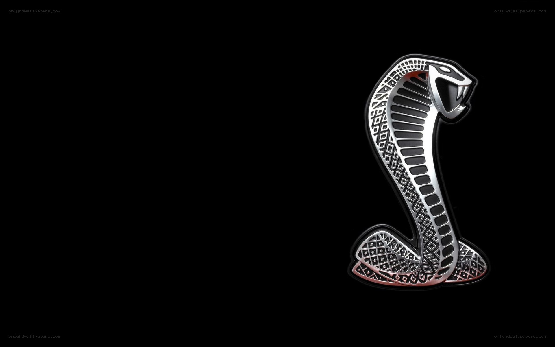 Cobra logo on black background