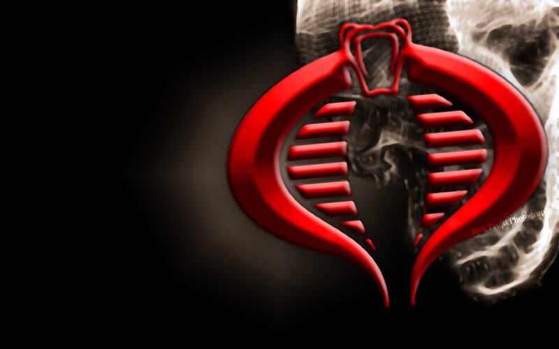 Cobra Logo on Skull