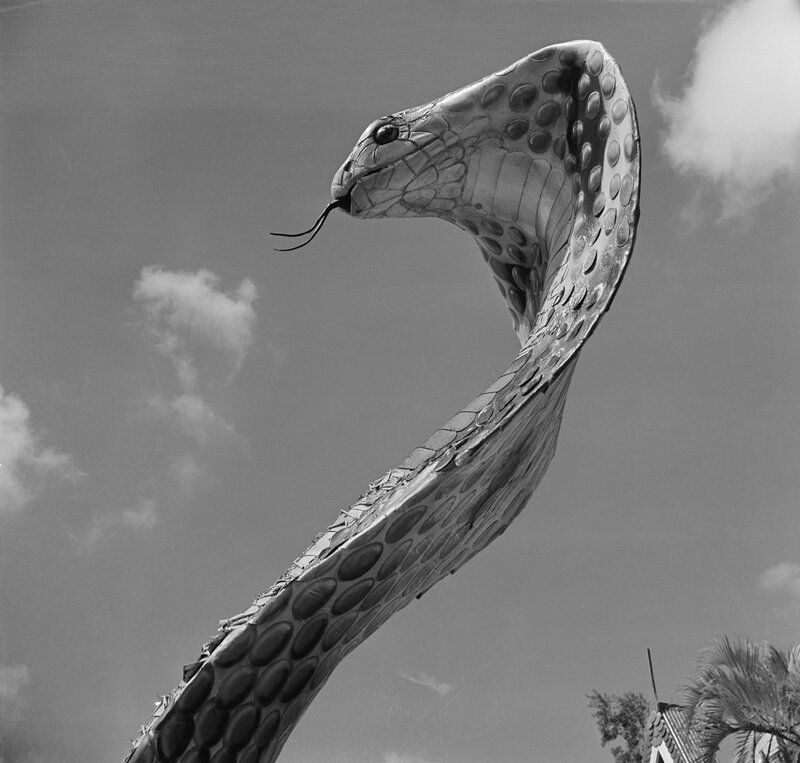 Cobra statue against sky