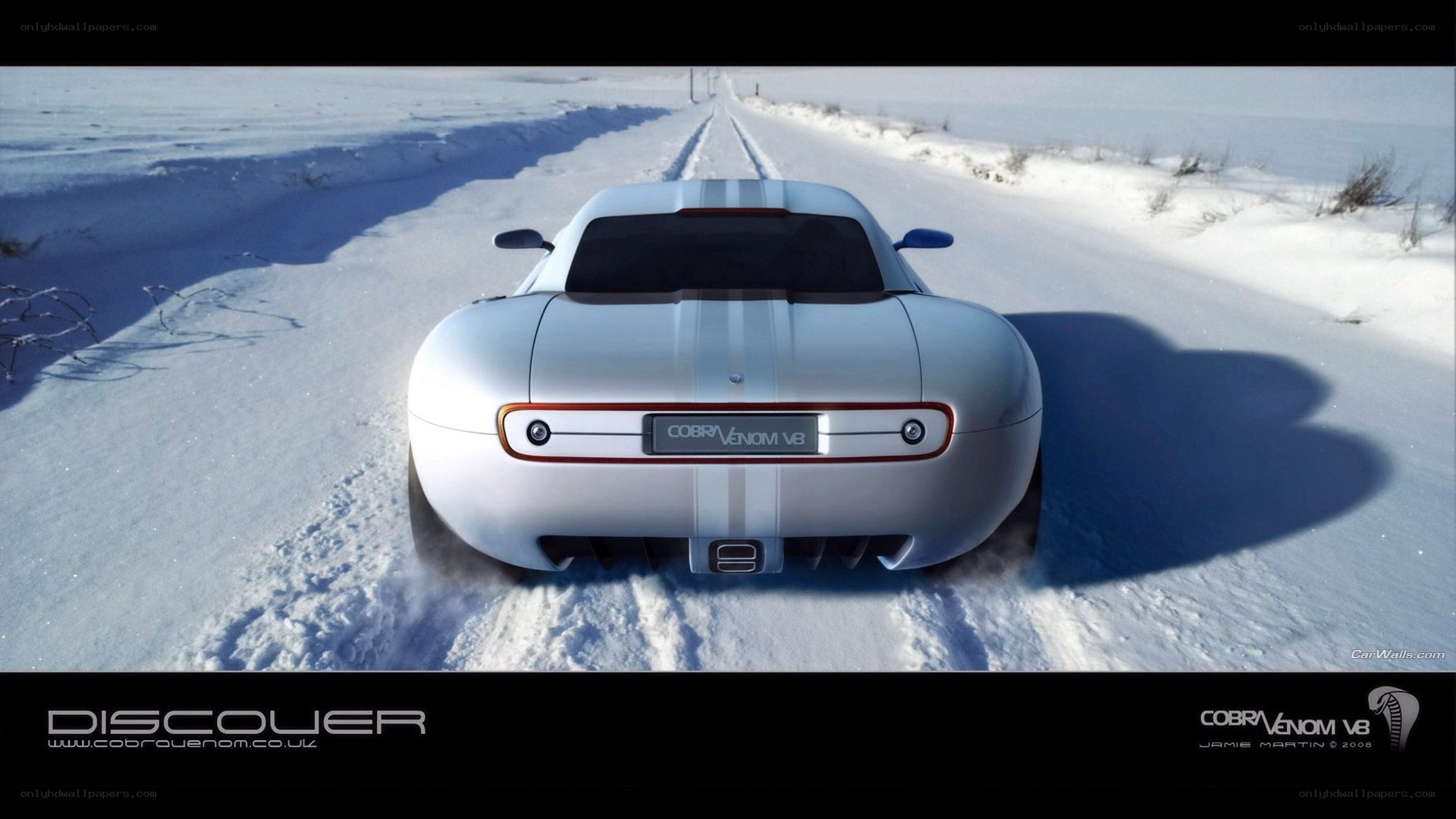 Cobra Venom V8 in snow