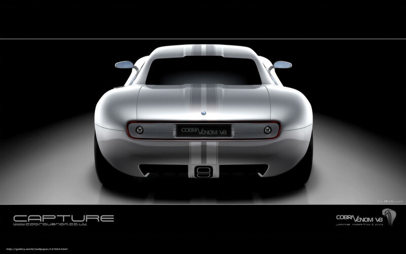 Cobra Venom V8 rear view