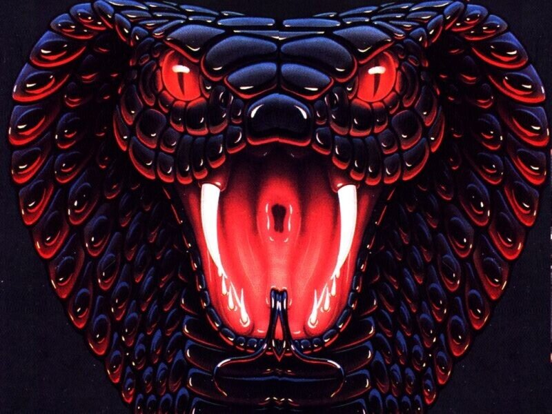 Cobra with Open Mouth