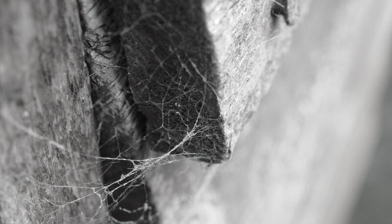Cobweb on Wooden Surface