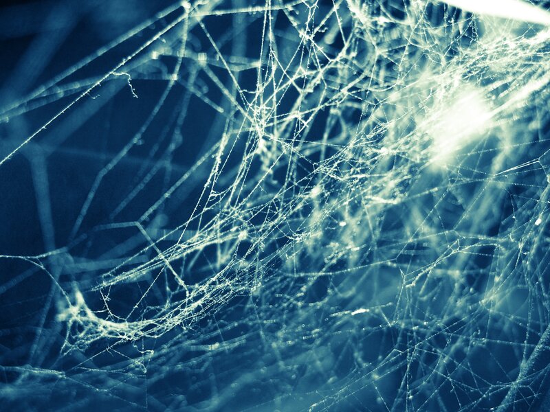 Cobweb with Dew Drops
