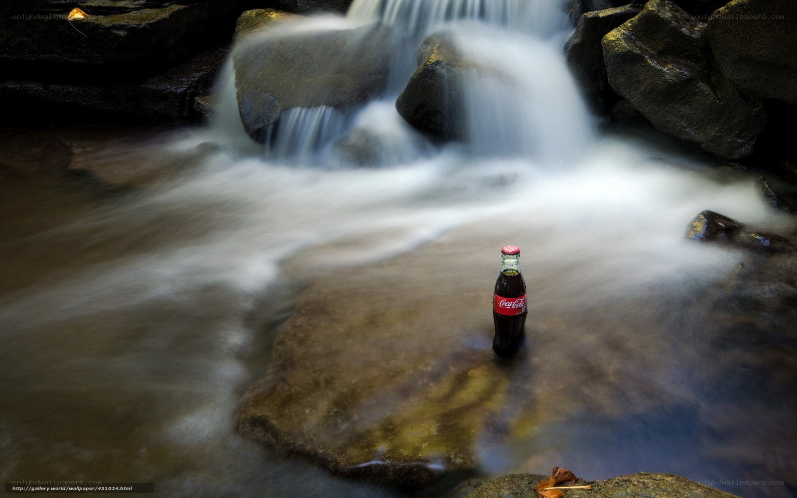 Coca-Cola bottle in a stream