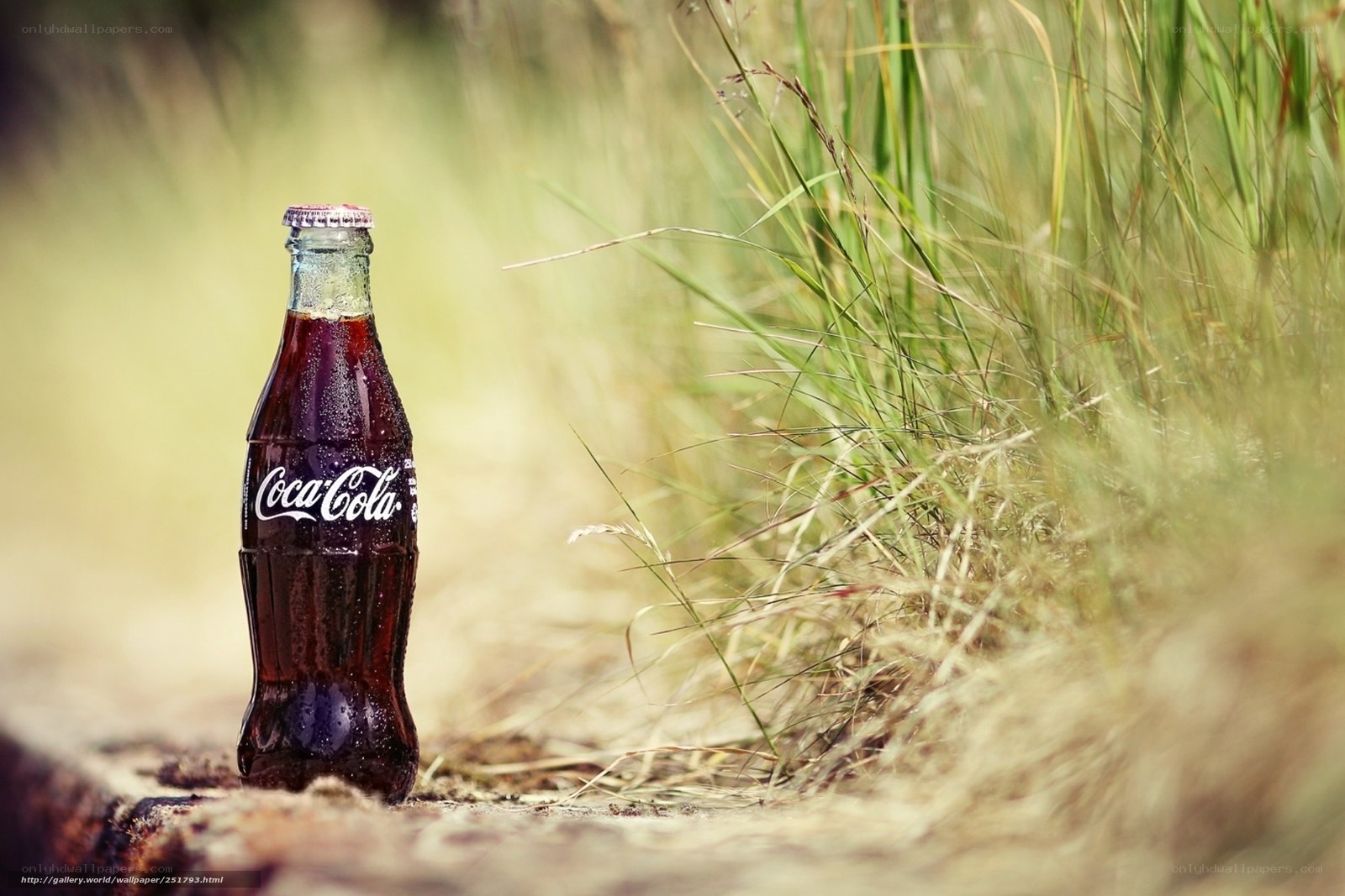 Coca-Cola bottle in grass