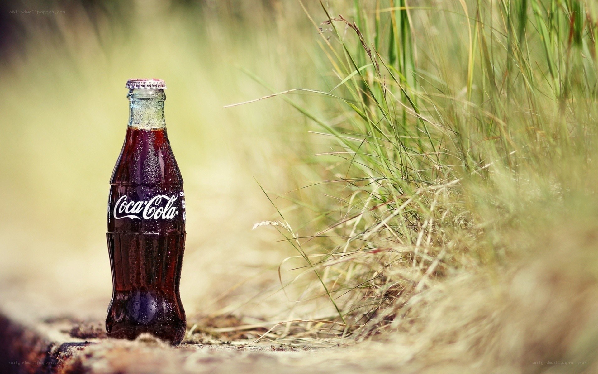 Coca-Cola bottle in grass