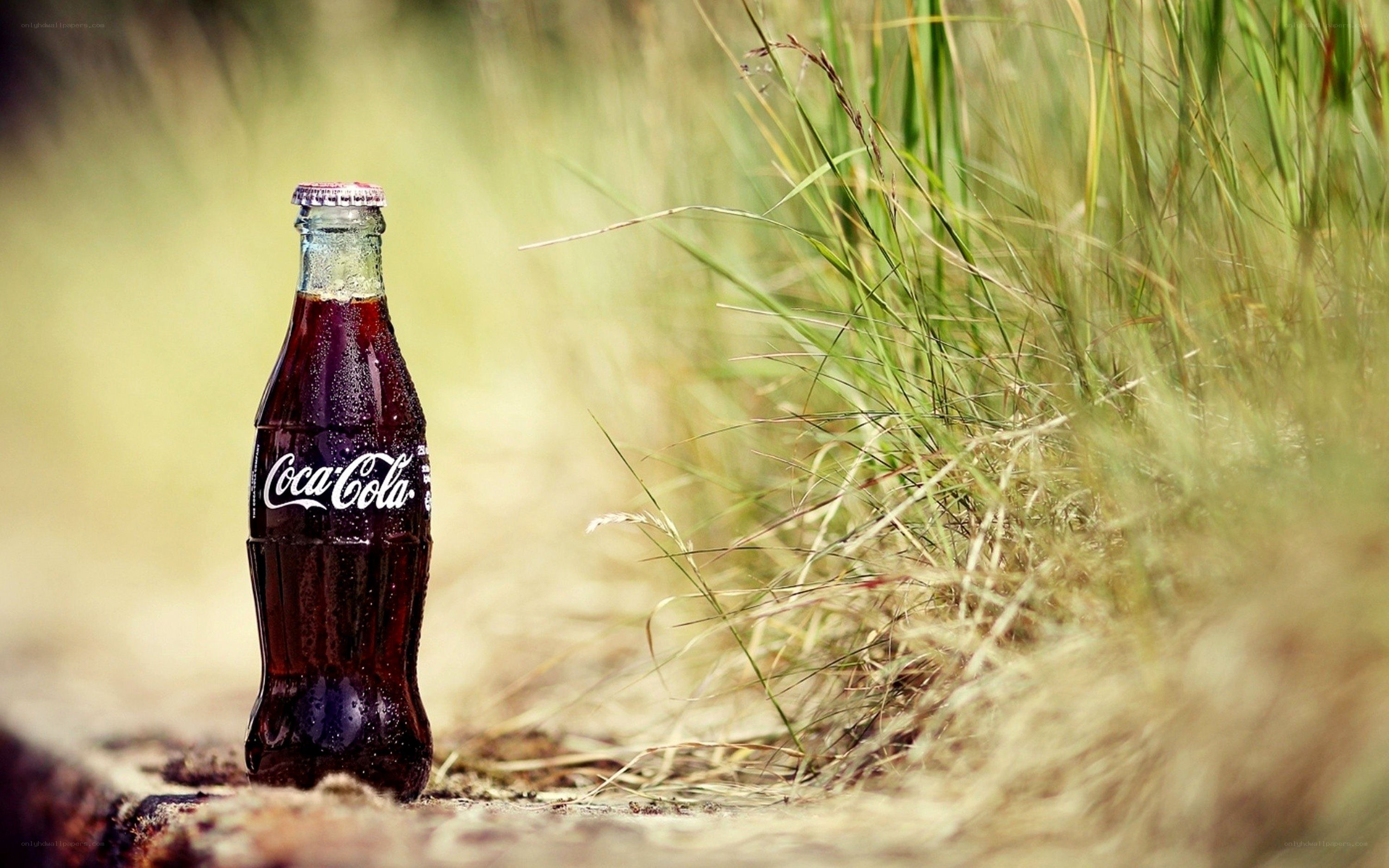 Coca-Cola bottle in grass