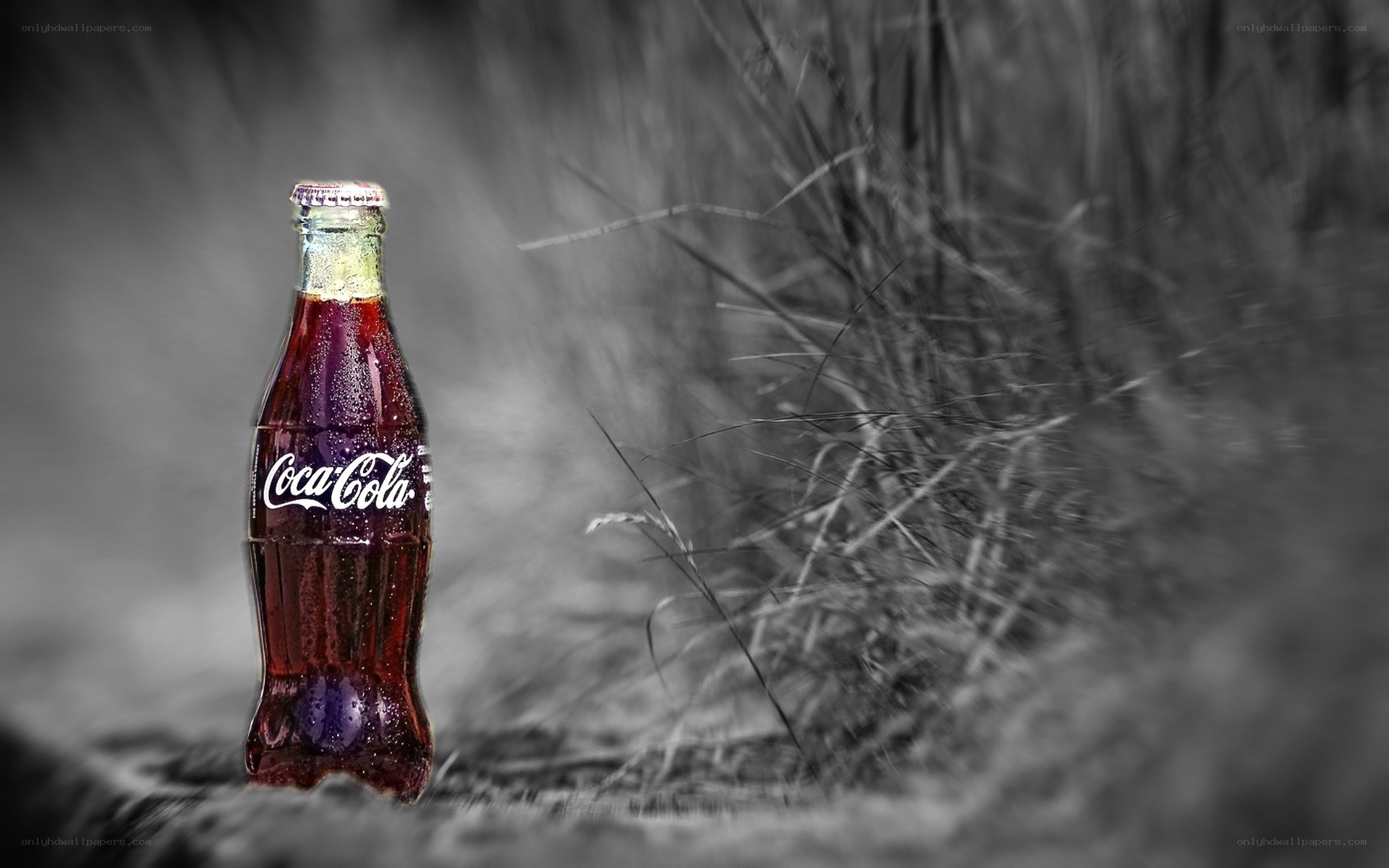 Coca-Cola bottle in grass