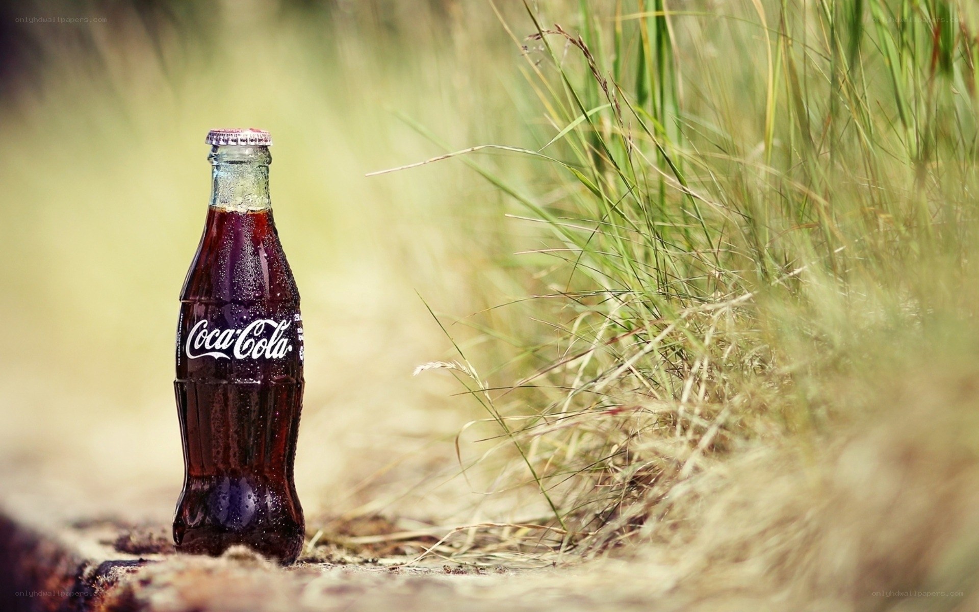 Coca-Cola bottle in grass