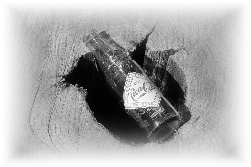 Coca-Cola bottle in tree stump