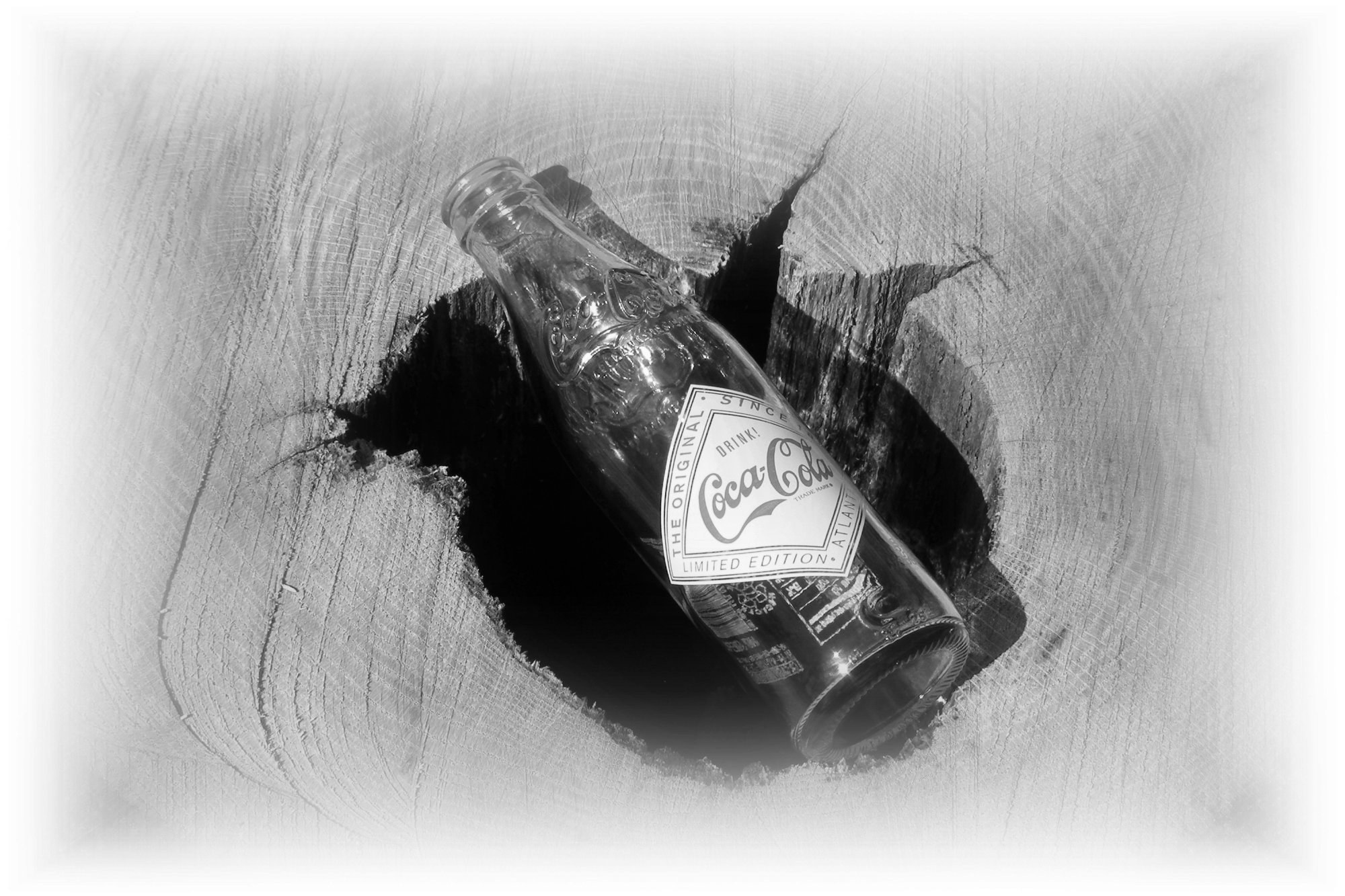 Coca-Cola bottle in tree stump